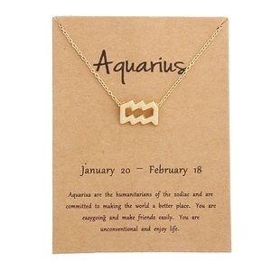 A New Aquarius Pendant /Necklace